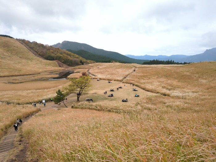 曽爾高原