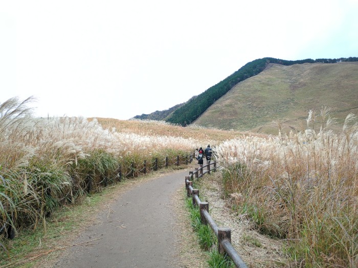 遊歩道