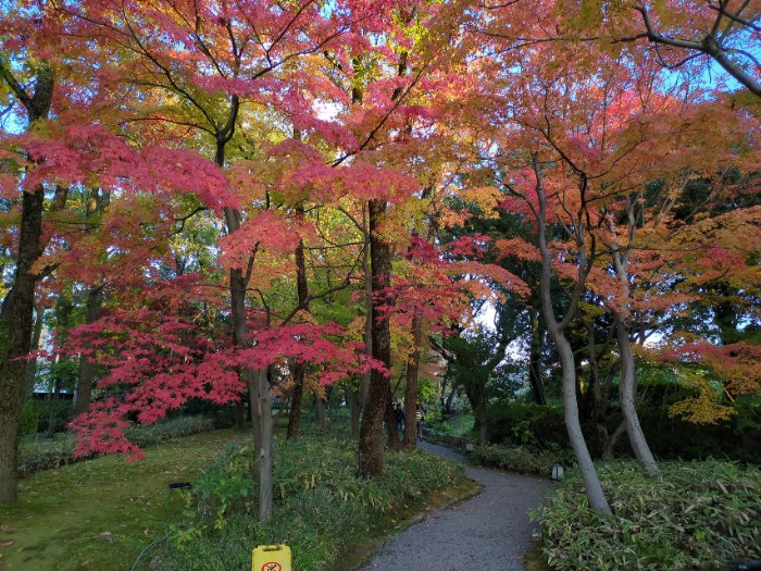 紅葉 養浩館庭園