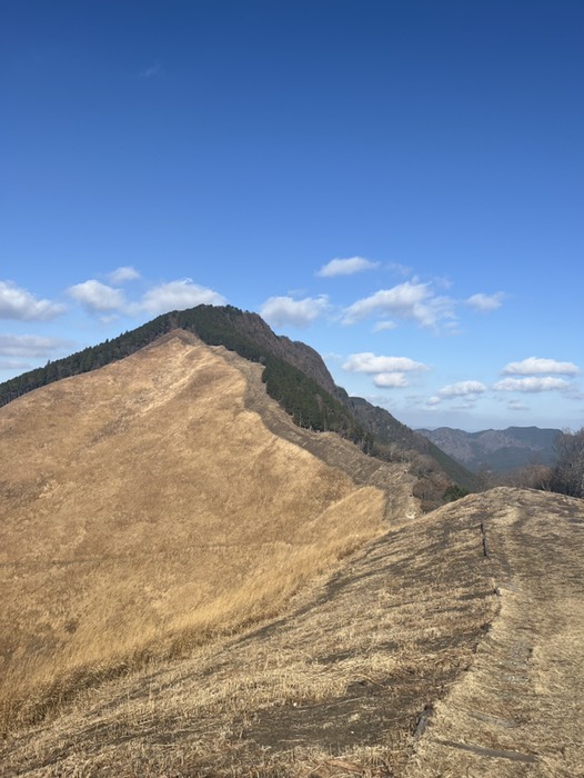 稜線がキレイ