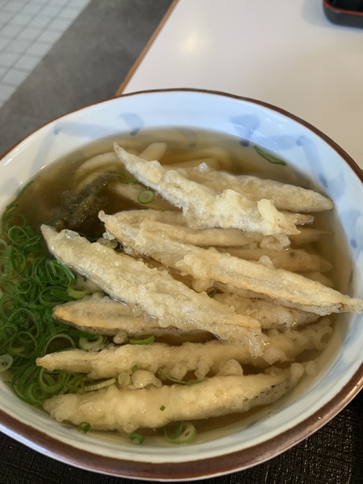 ごぼ天うどん