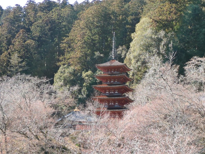 長谷寺 五重塔