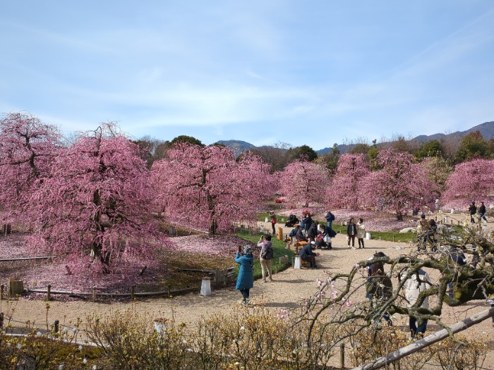 鈴鹿の森庭園