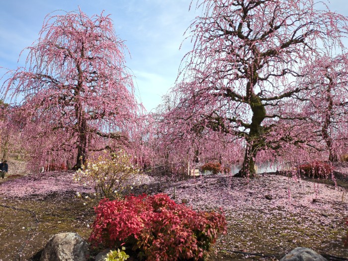 鈴鹿の森庭園