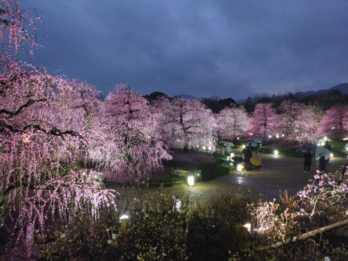 鈴鹿の森庭園