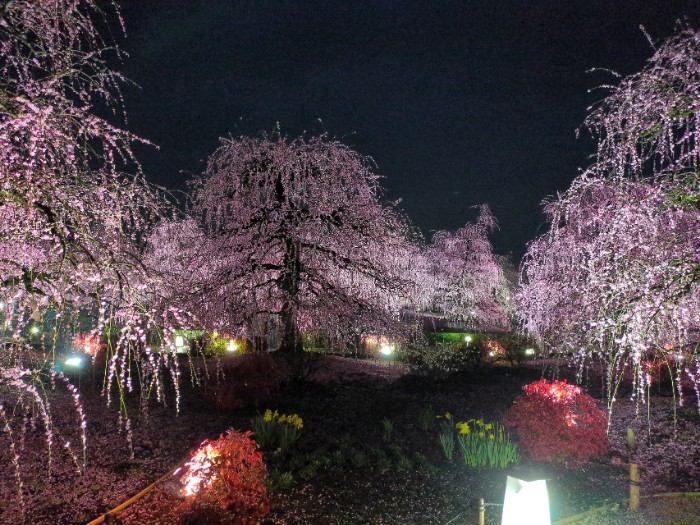 鈴鹿の森庭園