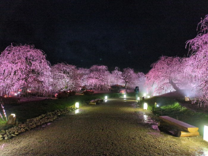 鈴鹿の森庭園