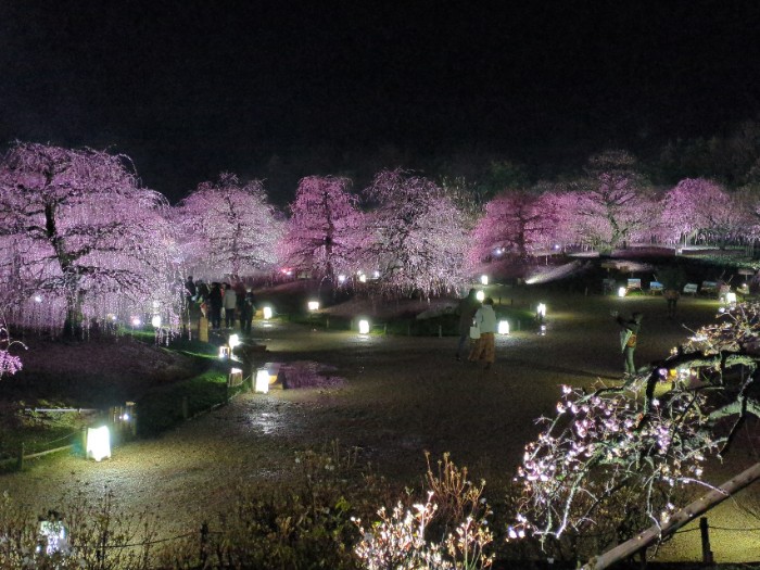 鈴鹿の森庭園