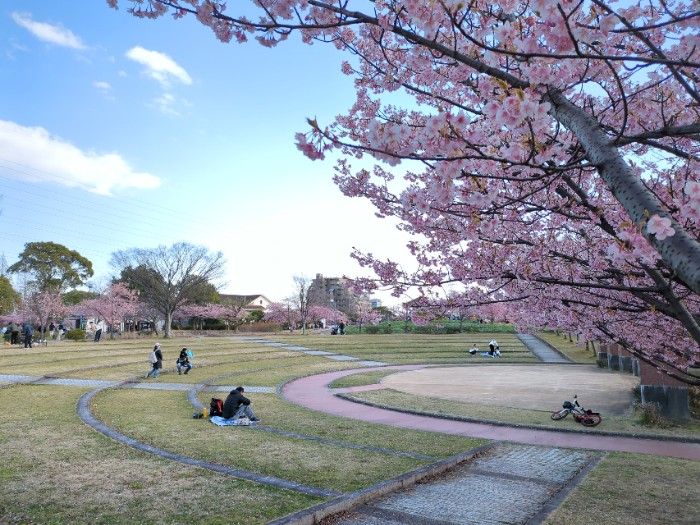 戸田川緑地