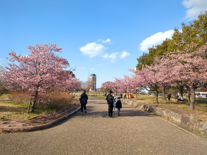 戸田川緑地