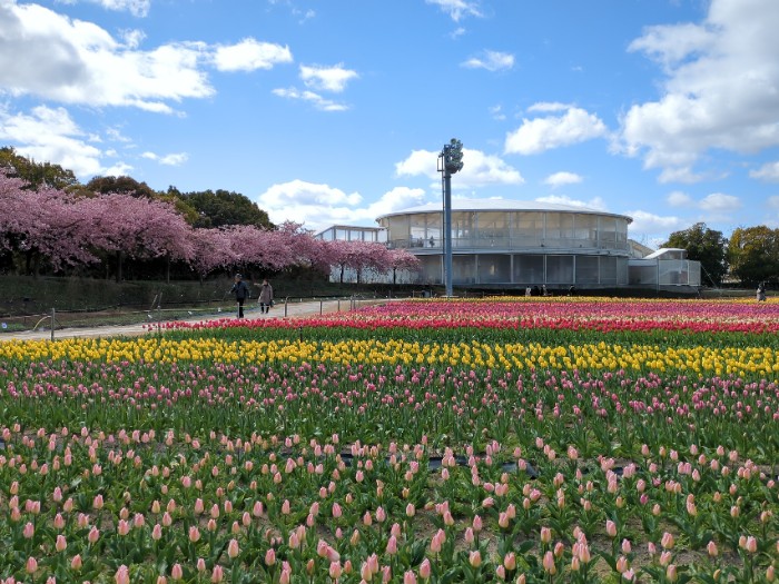 花ひろば