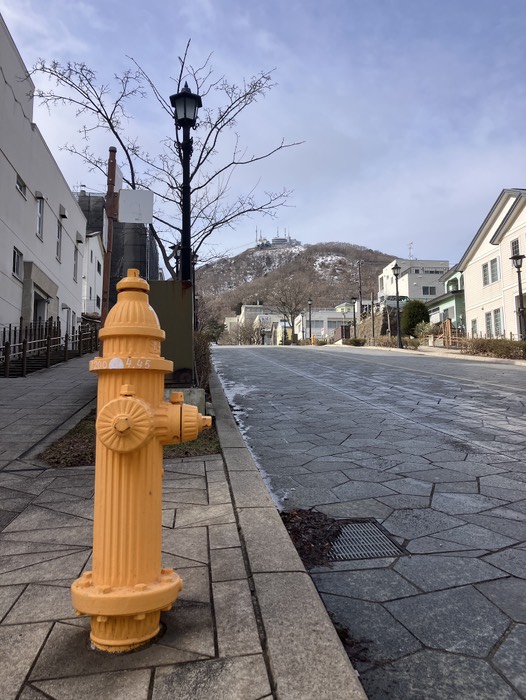 八幡坂から函館山を望む