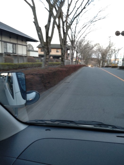 東京霊園正門前バス停