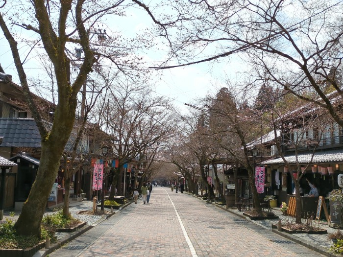 参道 谷扱山華厳寺