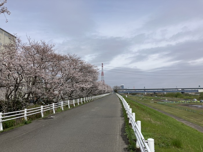 相模川河川敷