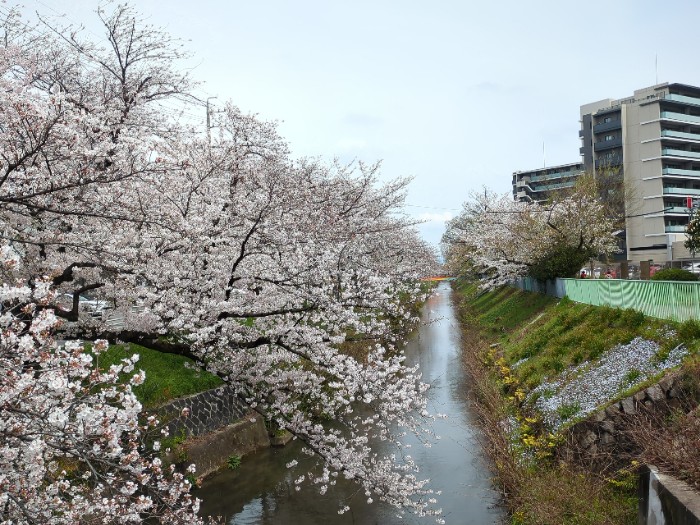 黒川