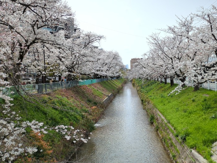 稚児宮人道橋