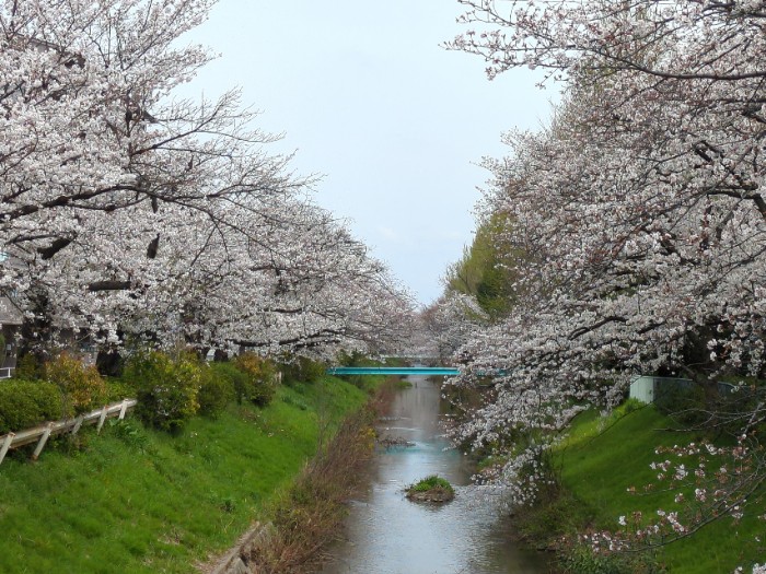 木津根橋