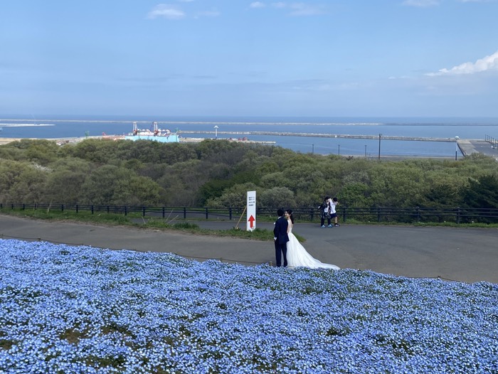 ひたち海浜公園13