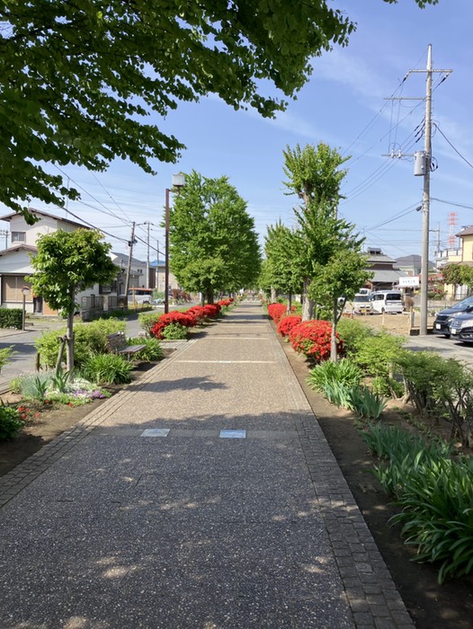 線路跡地の遊歩道