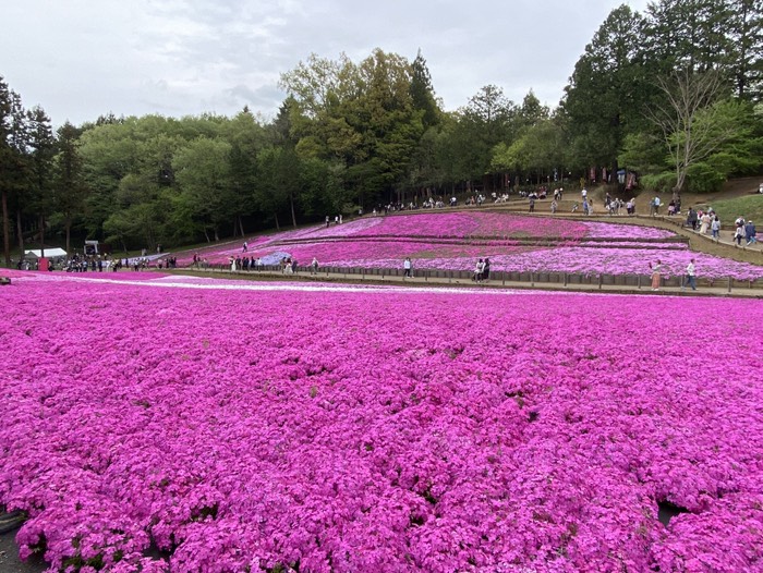 羊山公園①