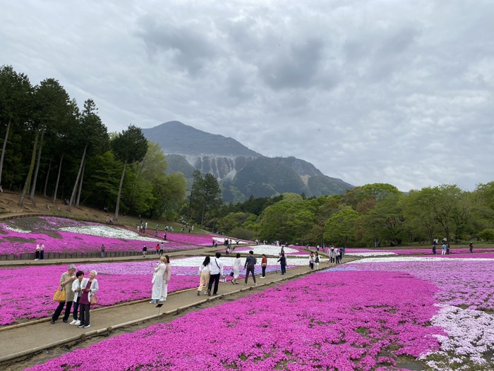 羊山公園②