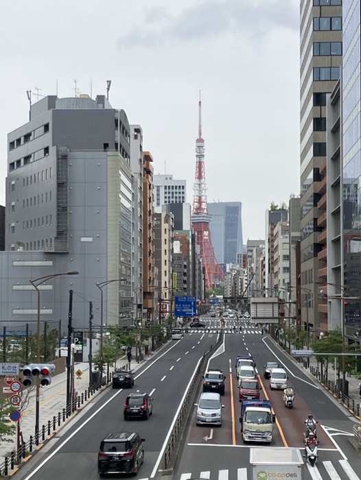 札の辻交差点歩道橋から見た東京タワー