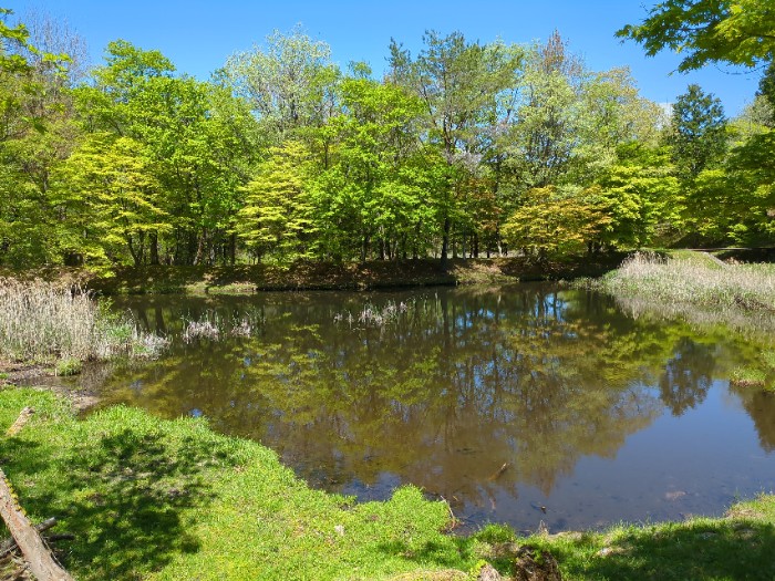 タカドヤ湿地