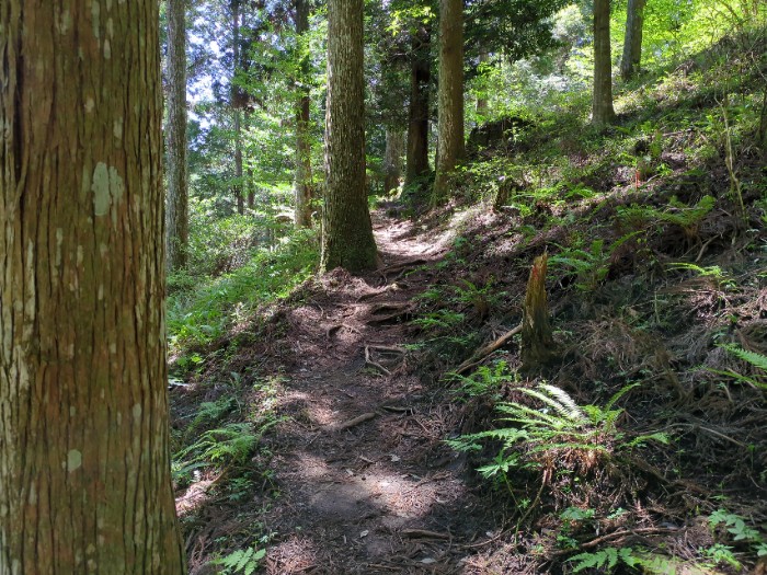 登山道