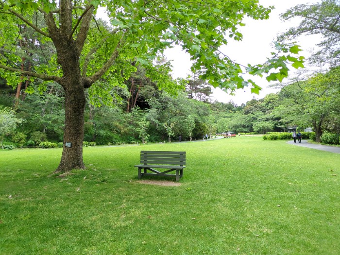 広場
