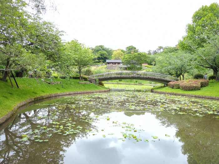 たいこ橋と水鳥の池