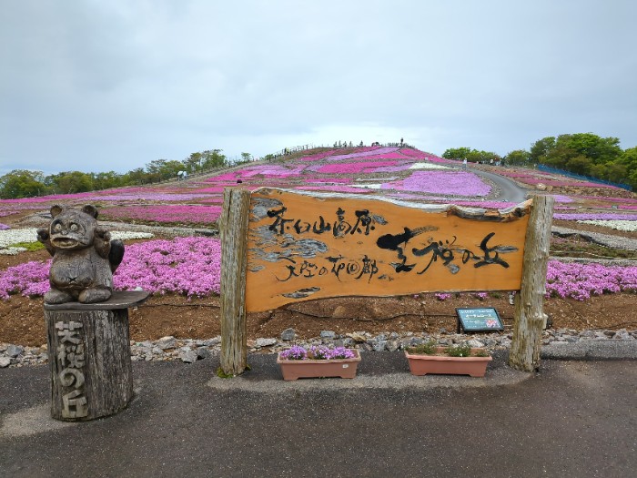 茶臼山高原 芝桜の丘