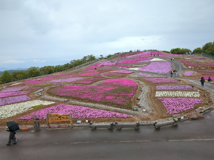 芝桜の丘