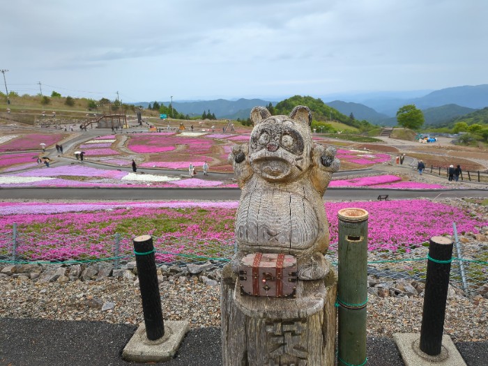 茶臼山高原 芝桜まつり