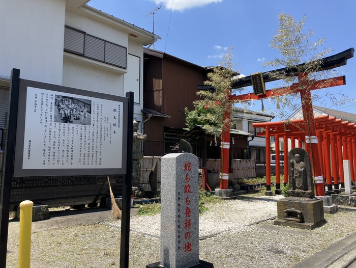 蛇も蚊も発祥の地