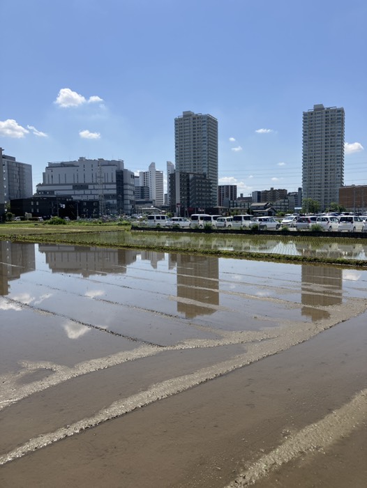 海老名駅北口(近郊の水田とタワマン)