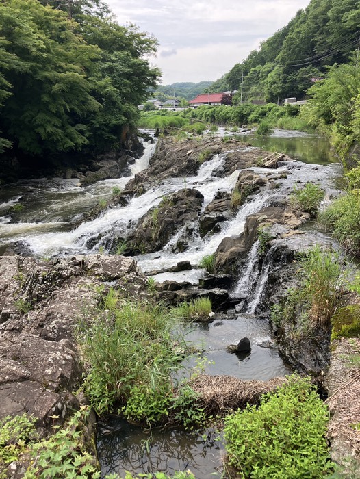 こちらは水量多め？