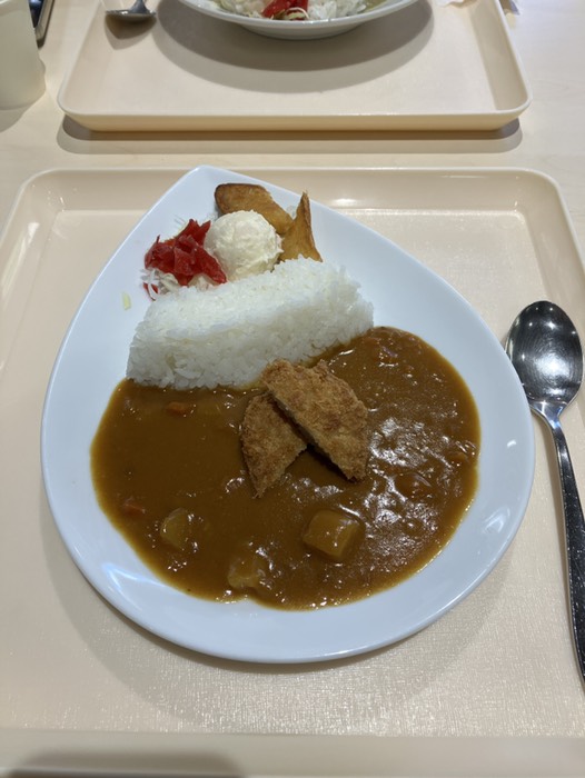 甘口ダムカレーでお昼