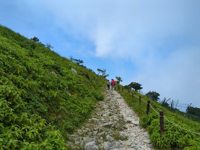 西登山道