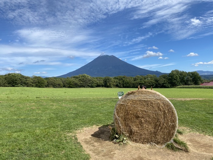 ニセコ高橋牧場②