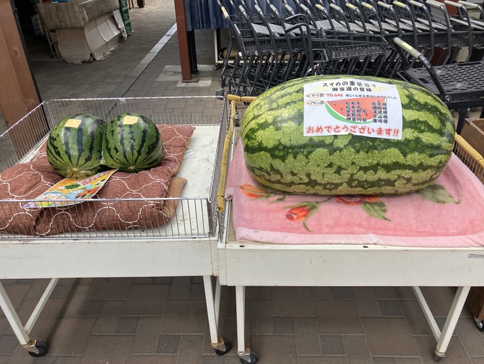 この道の駅好き〜