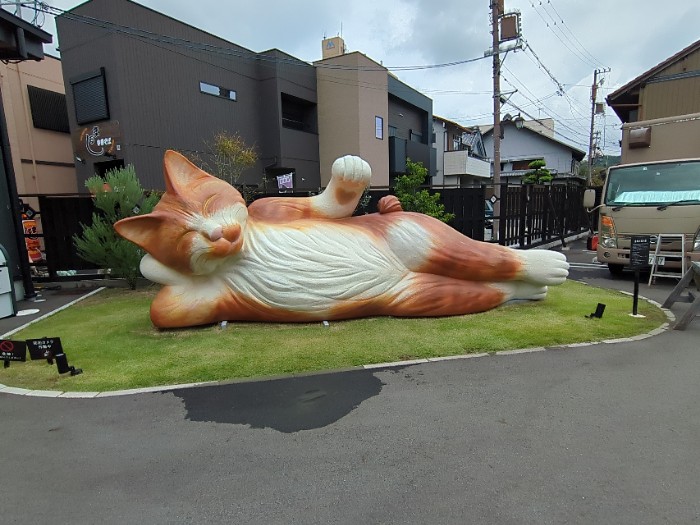 ねこ