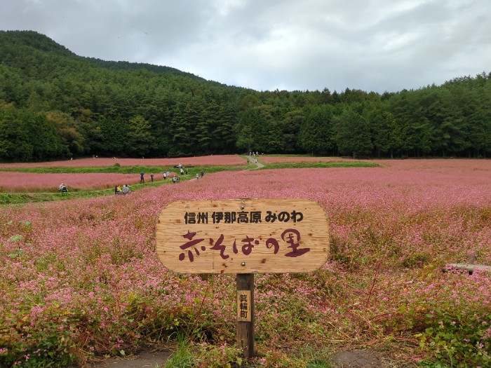 赤そばの里