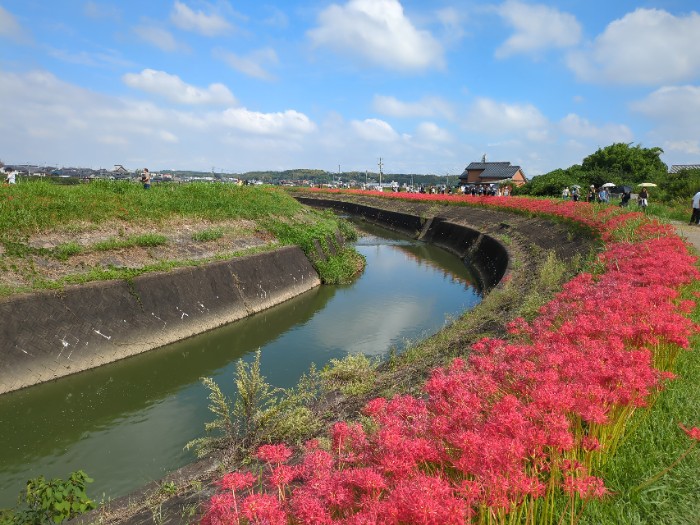 矢勝川