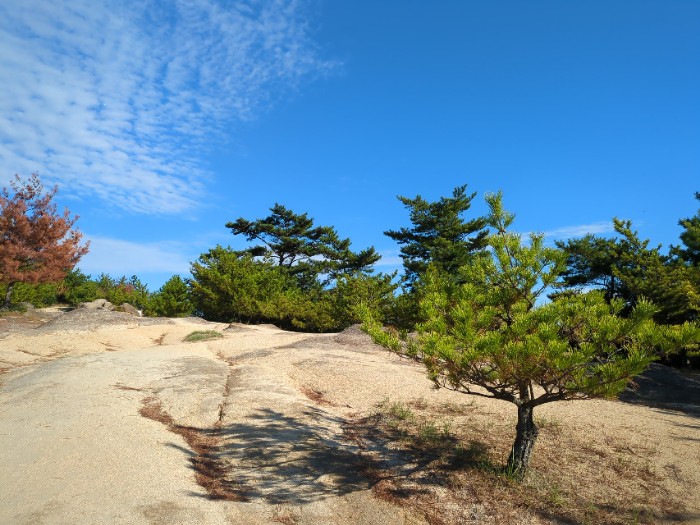 鷲羽山展望台