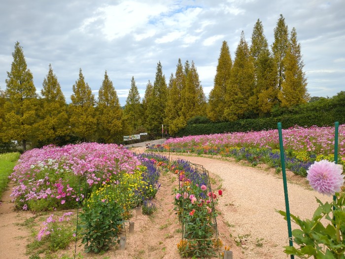 世羅高原農場