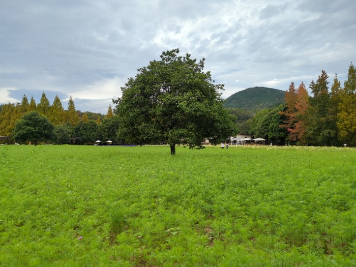 世羅高原農場