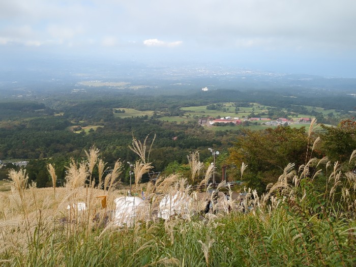 桝水高原