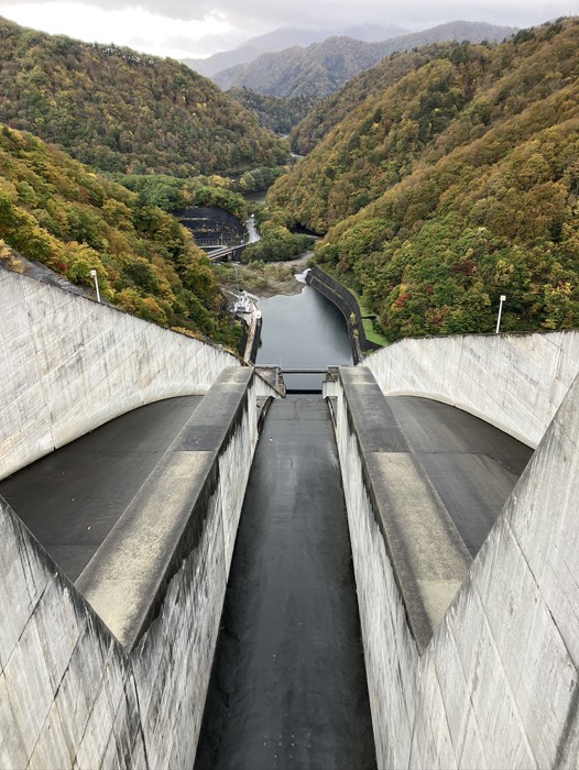 さっき見上げた場所見えたー