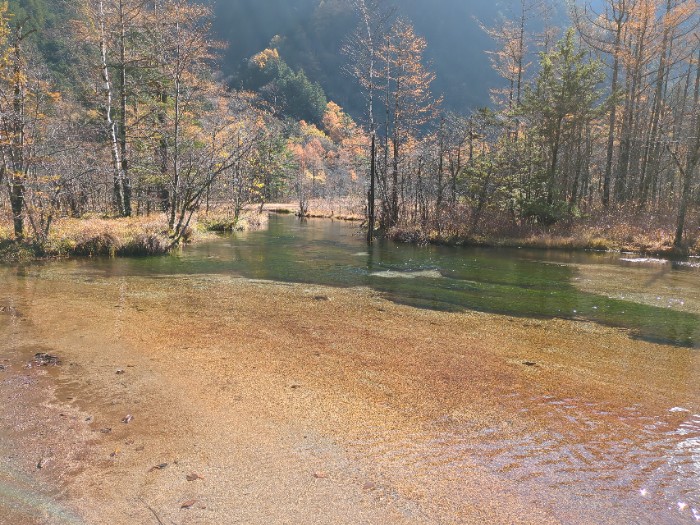 田代池